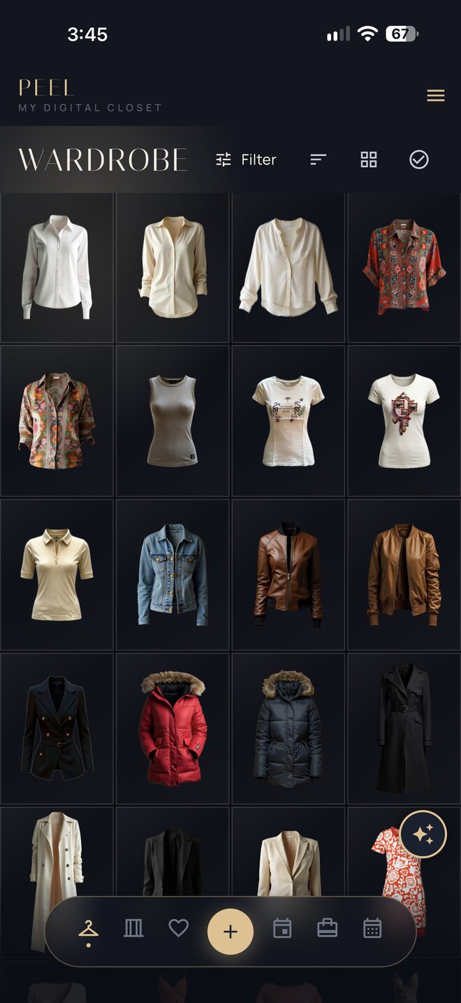 Wardrobe screen